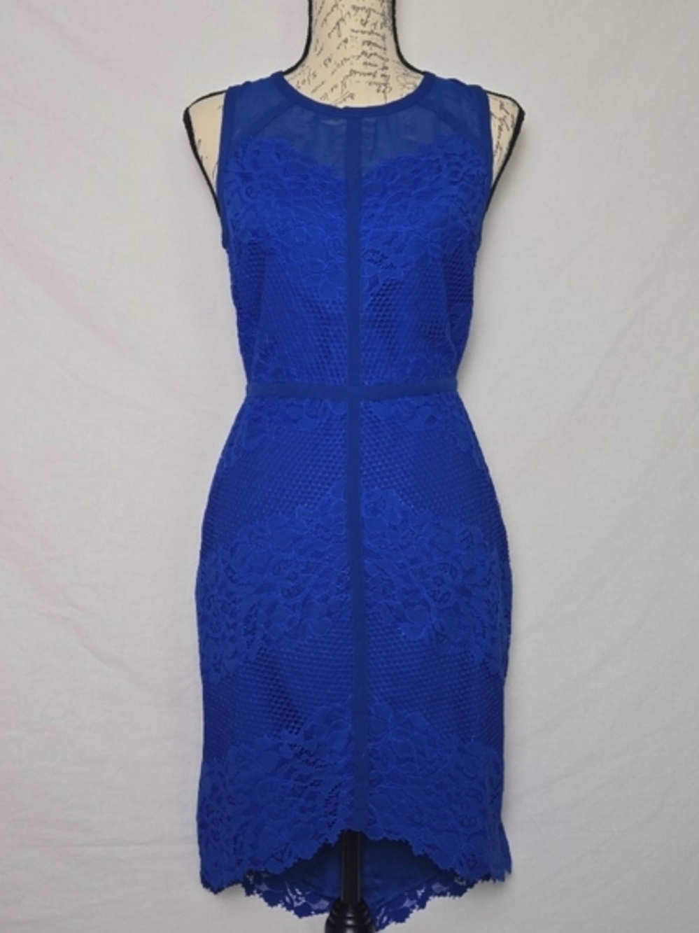 NWT Adelyn Rae Royal Blue Floral Lace High-Low Mesh Illusion Dress Small